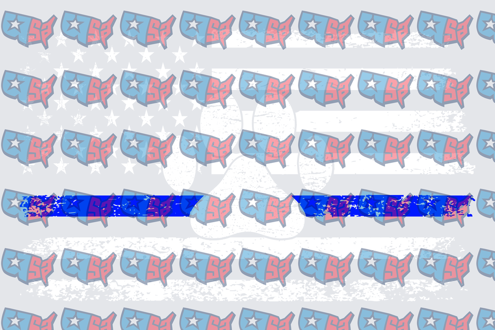 Thin Blue Line USA Map Pattern Flag (DTF)