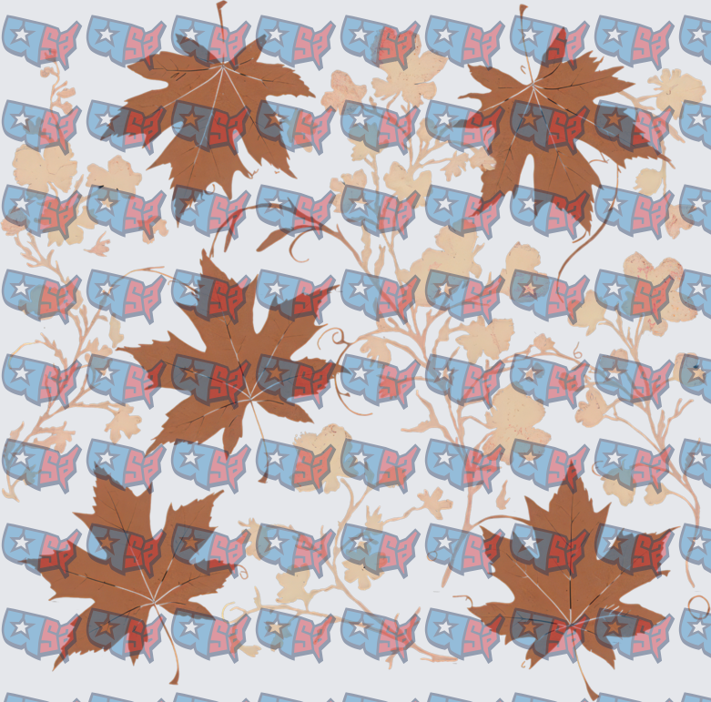 Patriotic USA Map Stars Autumn Leaves Floral Pattern (DTF)