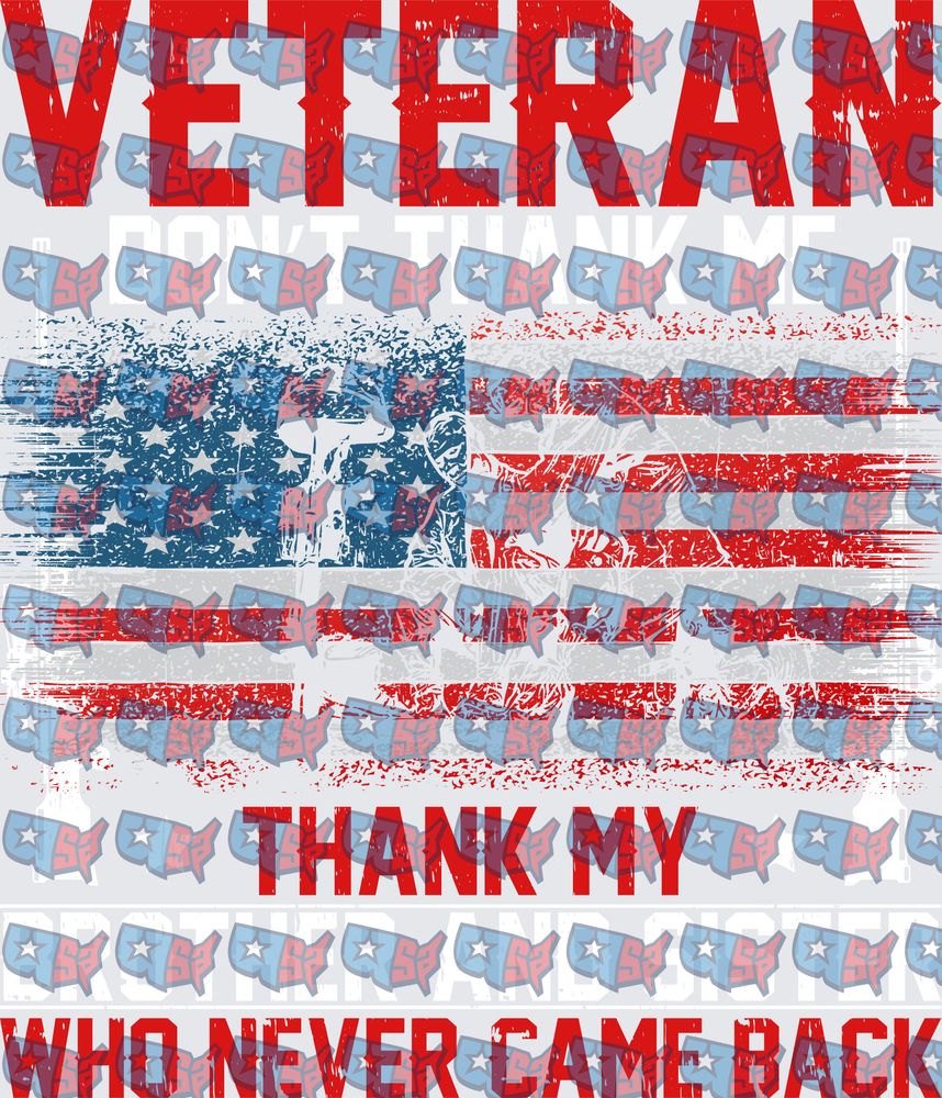 Veteran Don't Thank Me Thank My Brothers Who Never Came Back Distressed Flag (DTF)