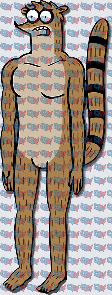 Tall Cartoon Raccoon Standing Upright Full Body (DTF)