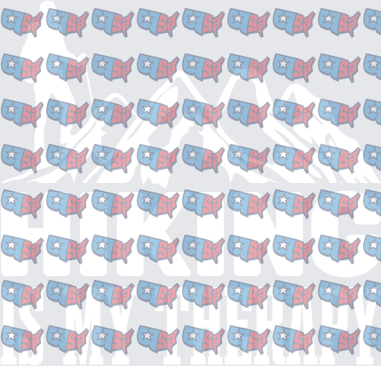 Patriotic USA Map Repeat Pattern with Stars (DTF)