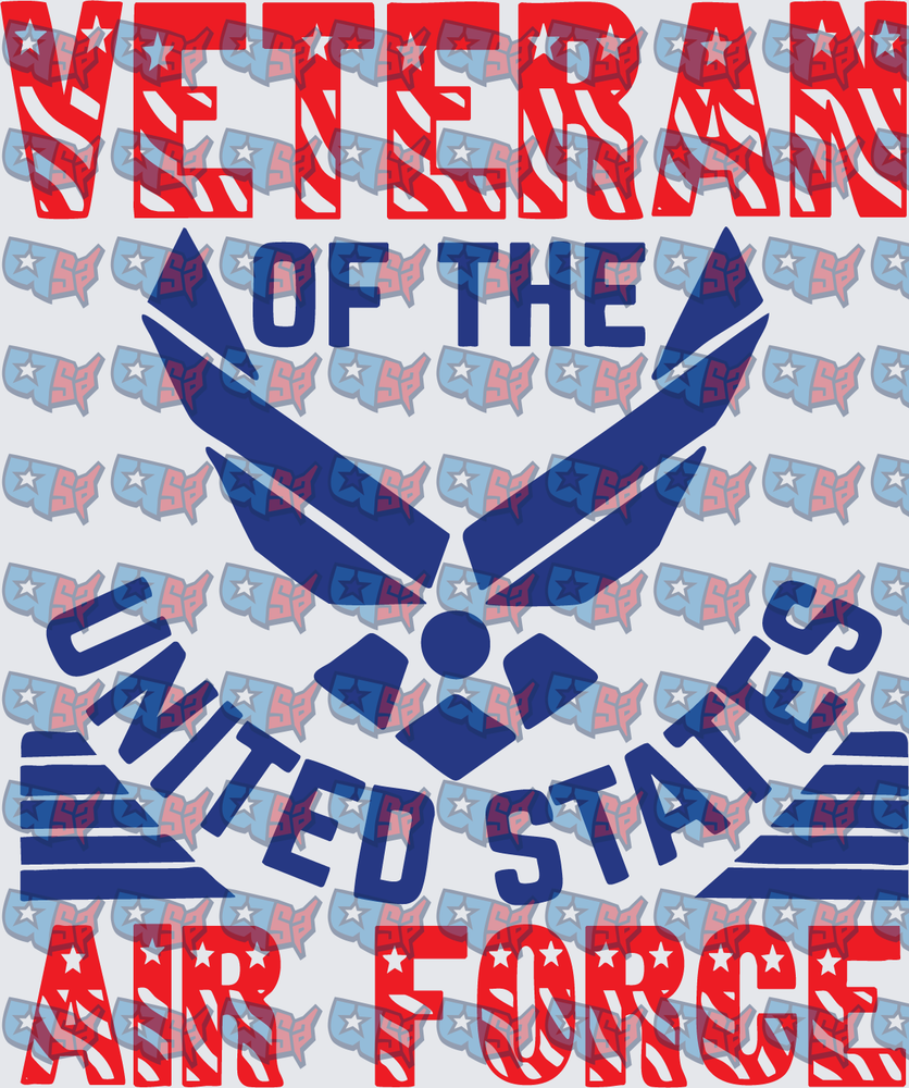 Veteran Of The United States Air Force Wings (DTF)