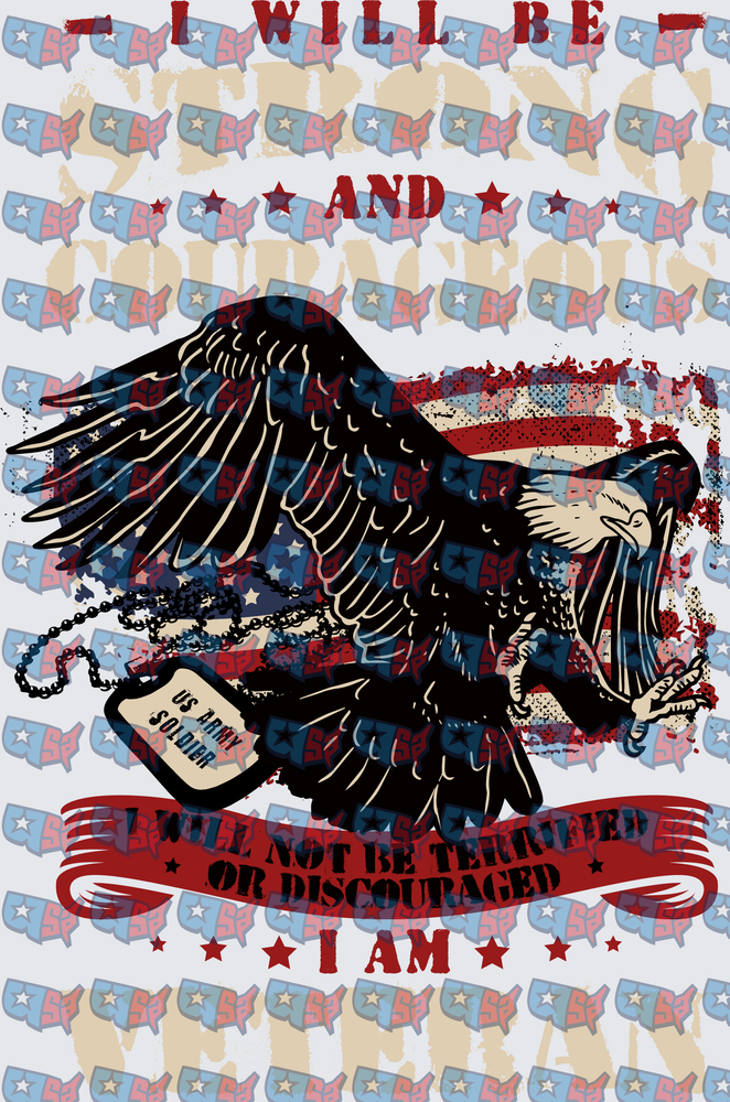 Strong Courageous US Army Soldier Patriotic Eagle (DTF)