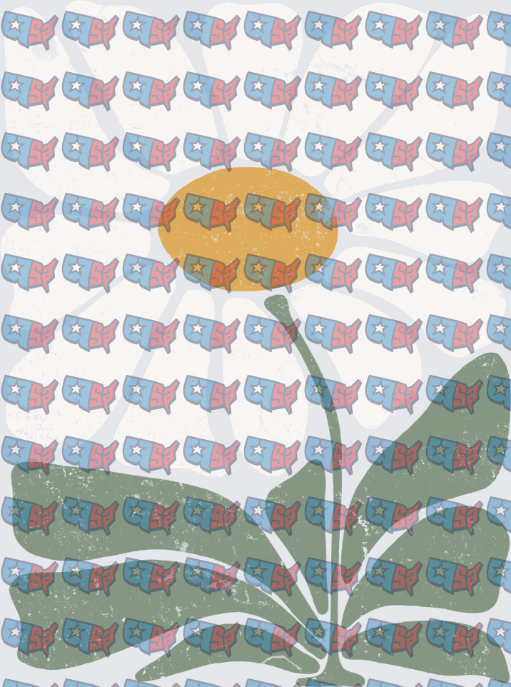 Patriotic USA Map Pattern Daisy Flower Grunge (DTF)