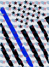Thin Blue Line American Flag Stars and Stripes (DTF)