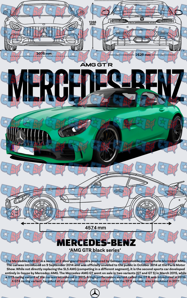 Mercedes-AMG GT R Green Blueprint Technical Diagram (DTF)