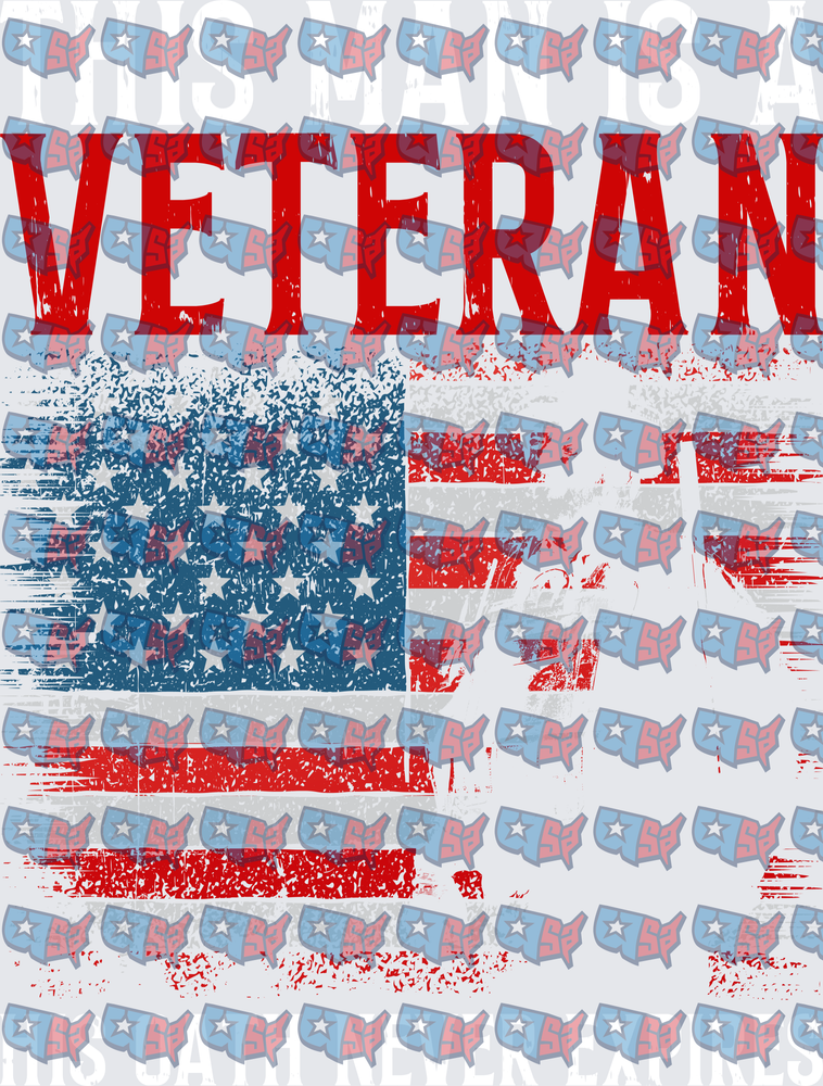 This Man Is A Veteran Distressed American Flag (DTF)