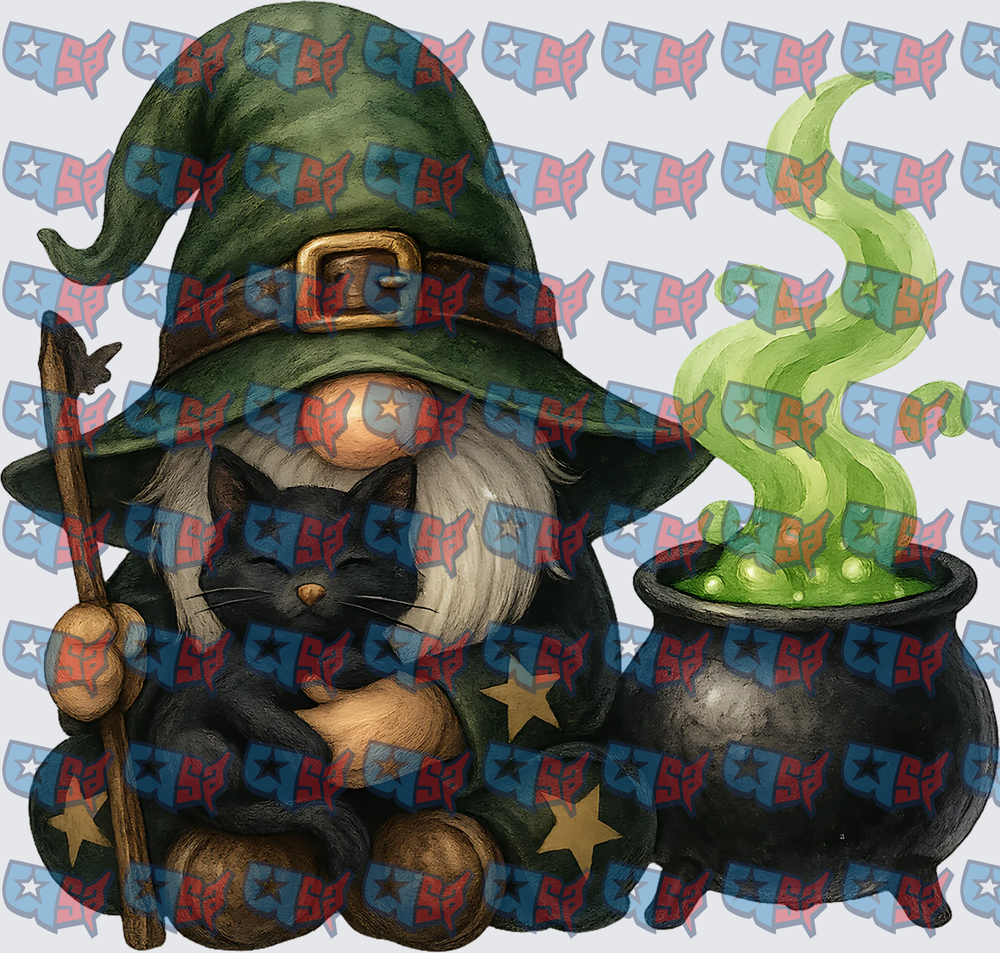 Halloween Witch Gnome Black Cat Cauldron (DTF)