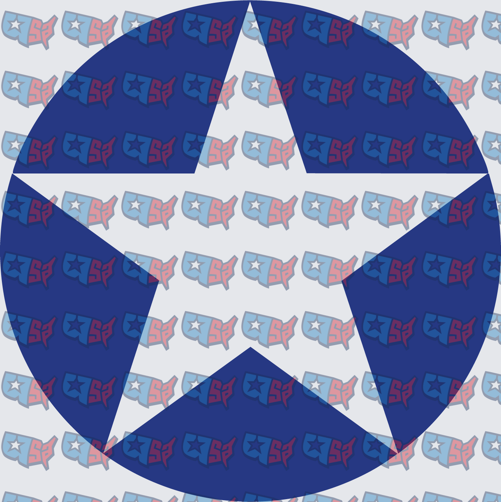 US Military Air Force Roundel Star Circle (DTF)