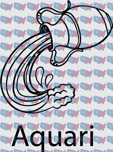 Aquarius Zodiac Water Bearer Symbol (DTF)