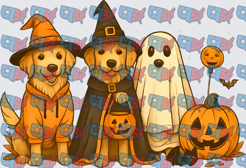 Golden Retrievers in Halloween Costumes with Pumpkins (DTF)