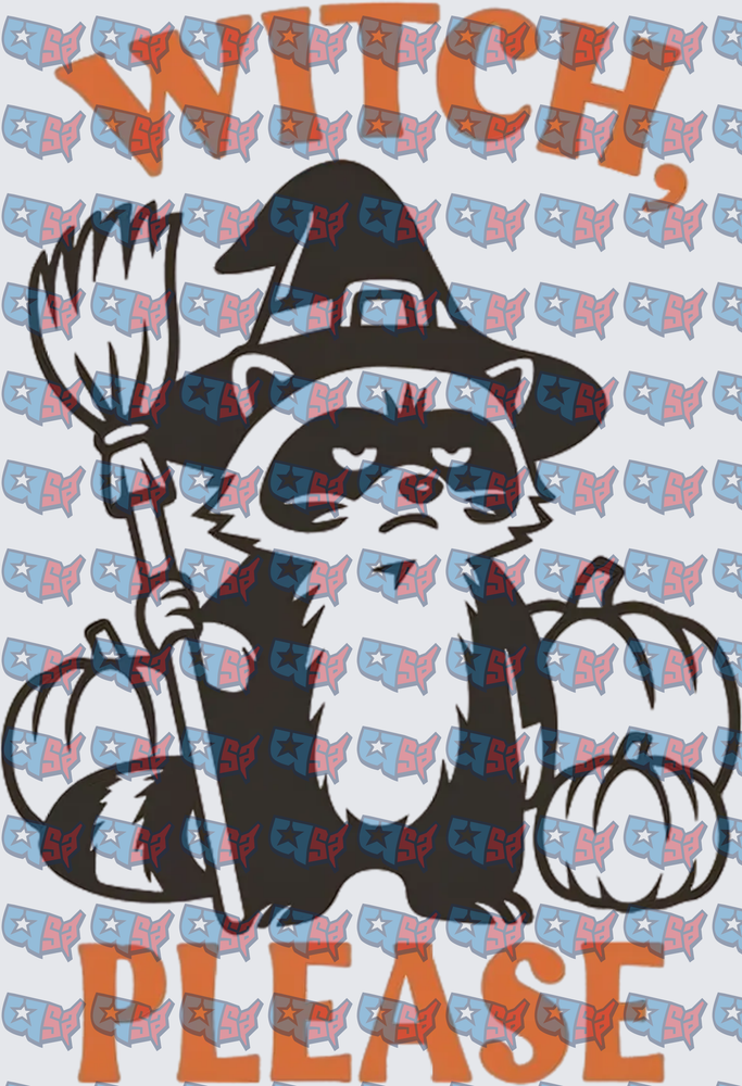 Witch Please Grumpy Raccoon Halloween Broom Pumpkin (DTF)