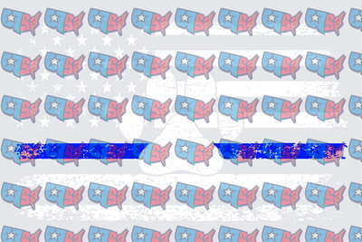 Thin Blue Line USA Map Pattern Flag (DTF)