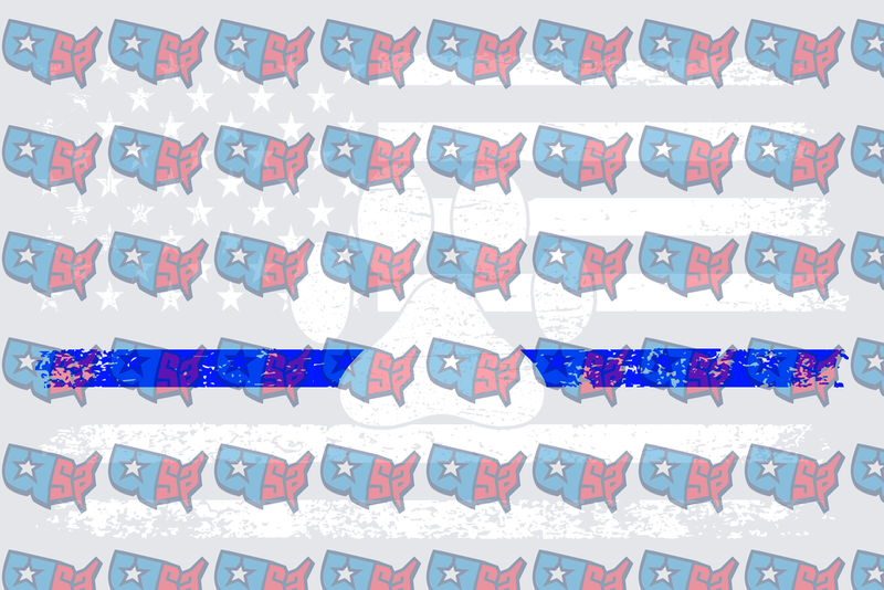 Thin Blue Line USA Map Pattern Flag (DTF)