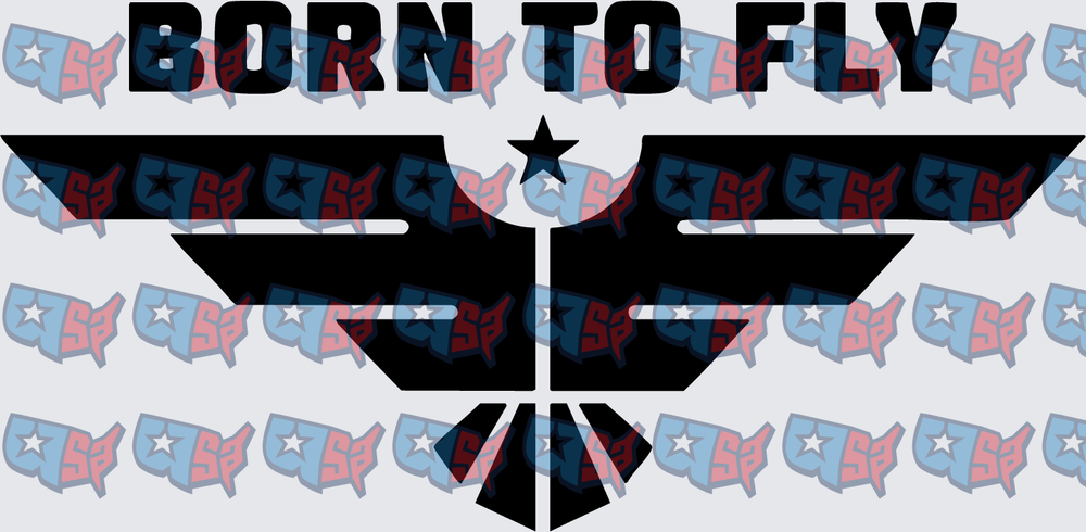 Born To Fly Military Eagle Star Wings (DTF)