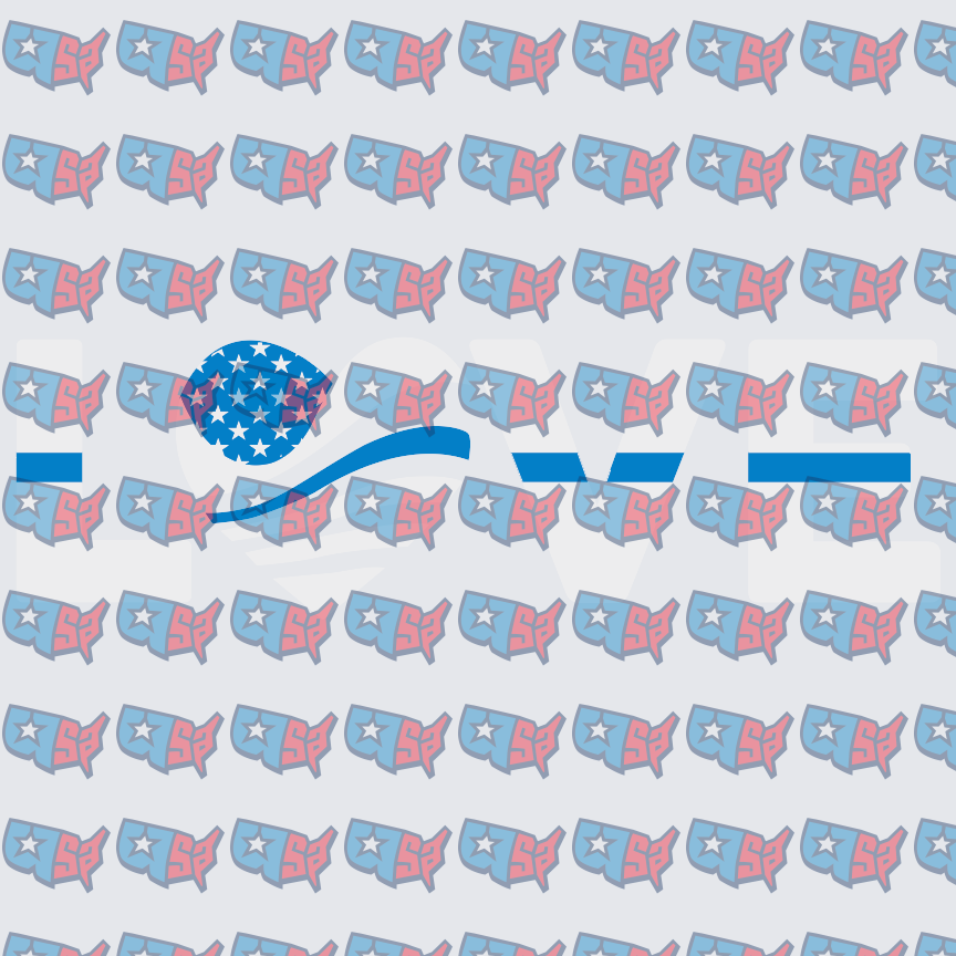 Patriotic Stars USA Map Swimmer Lane Lines (DTF)