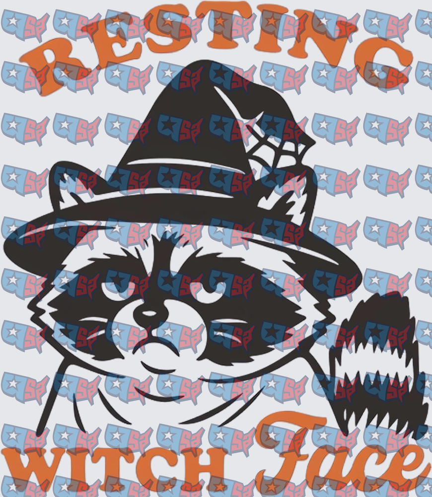 Resting Witch Face Raccoon Wearing Witch Hat (DTF)