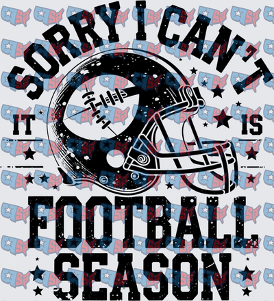Sorry I Can't It Is Football Season Helmet (DTF)