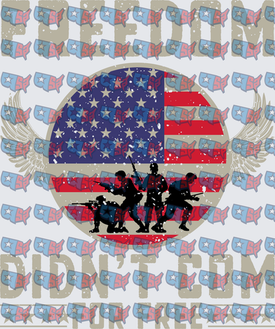 Freedom Didn't Come Free Military Soldiers American Flag (DTF)
