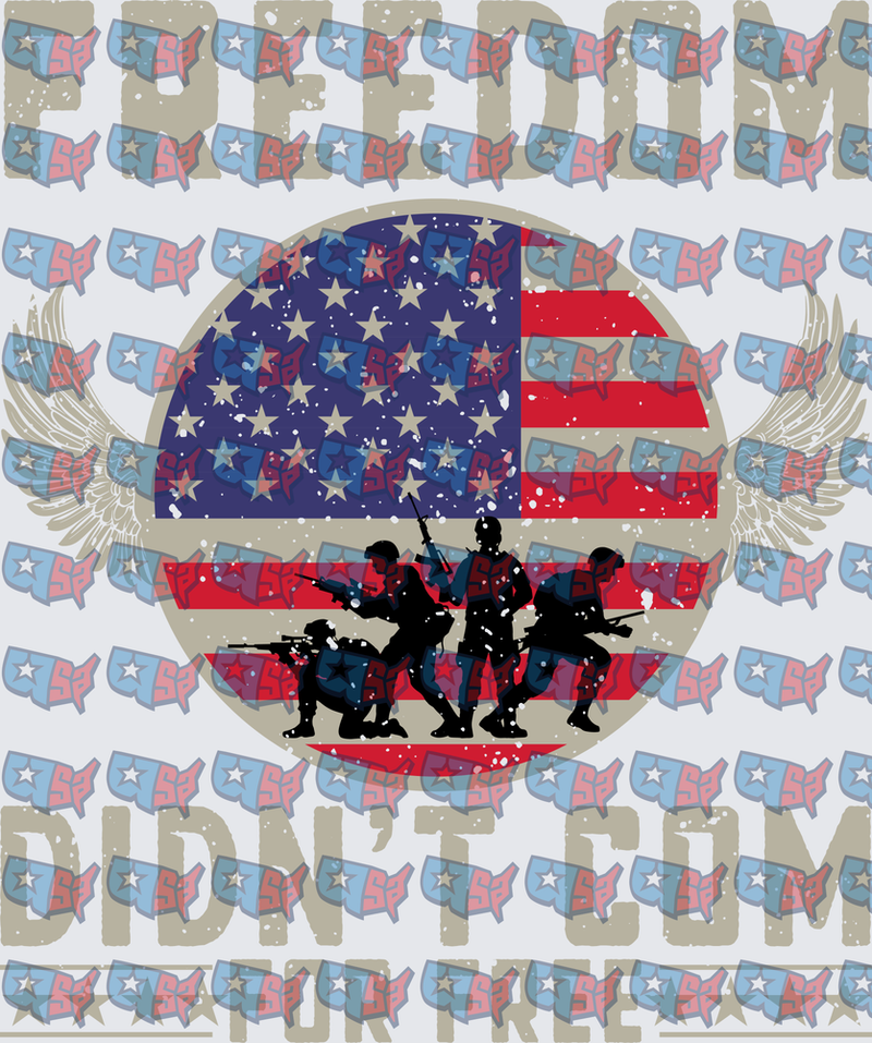 Freedom Didn't Come Free Military Soldiers American Flag (DTF)