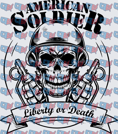 American Soldier Skull Liberty or Death (DTF)