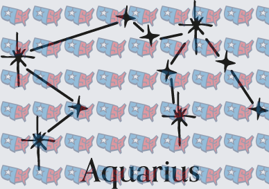 Aquarius Constellation Patriotic USA Map Stars (DTF)