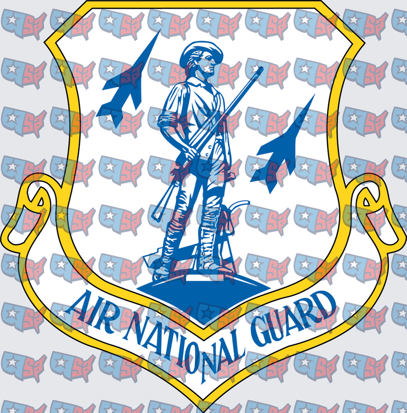 Air National Guard Shield Emblem Minuteman Jets (DTF)