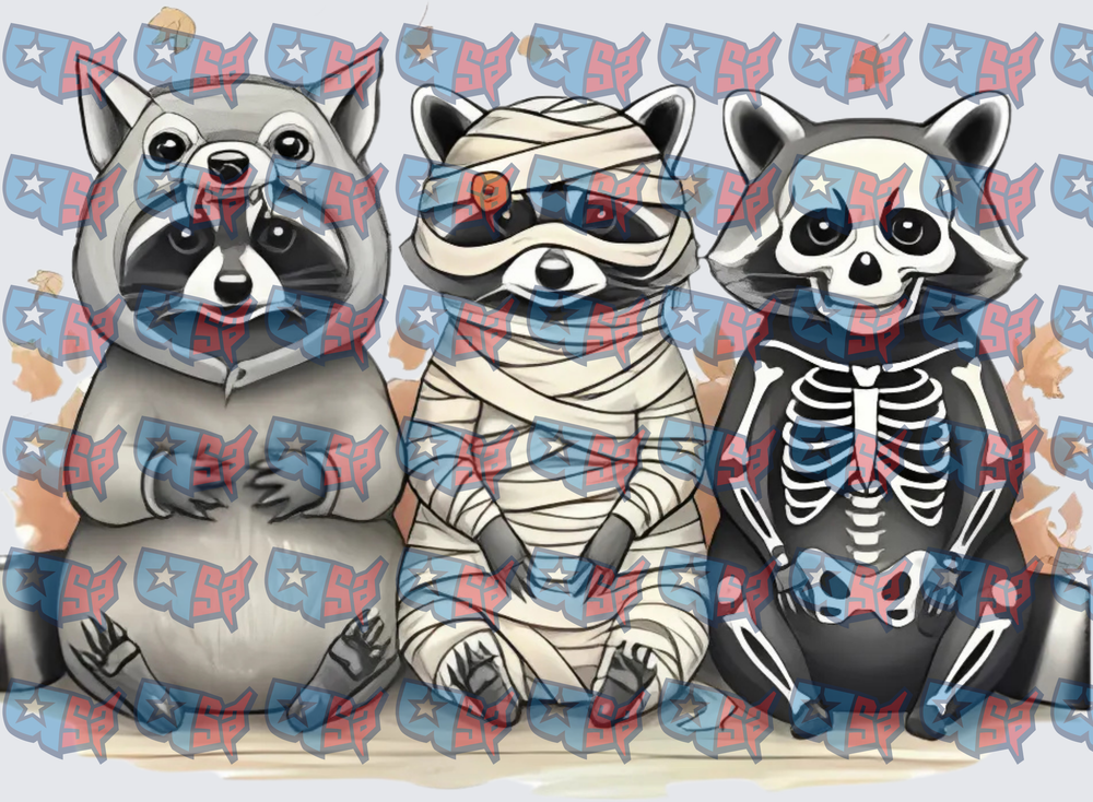 Halloween Raccoon Trio Mummy Zombie Skeleton (DTF)