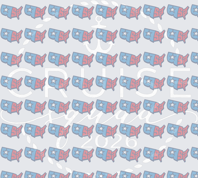 Patriotic USA Map Stars Red White Blue Pattern (DTF)