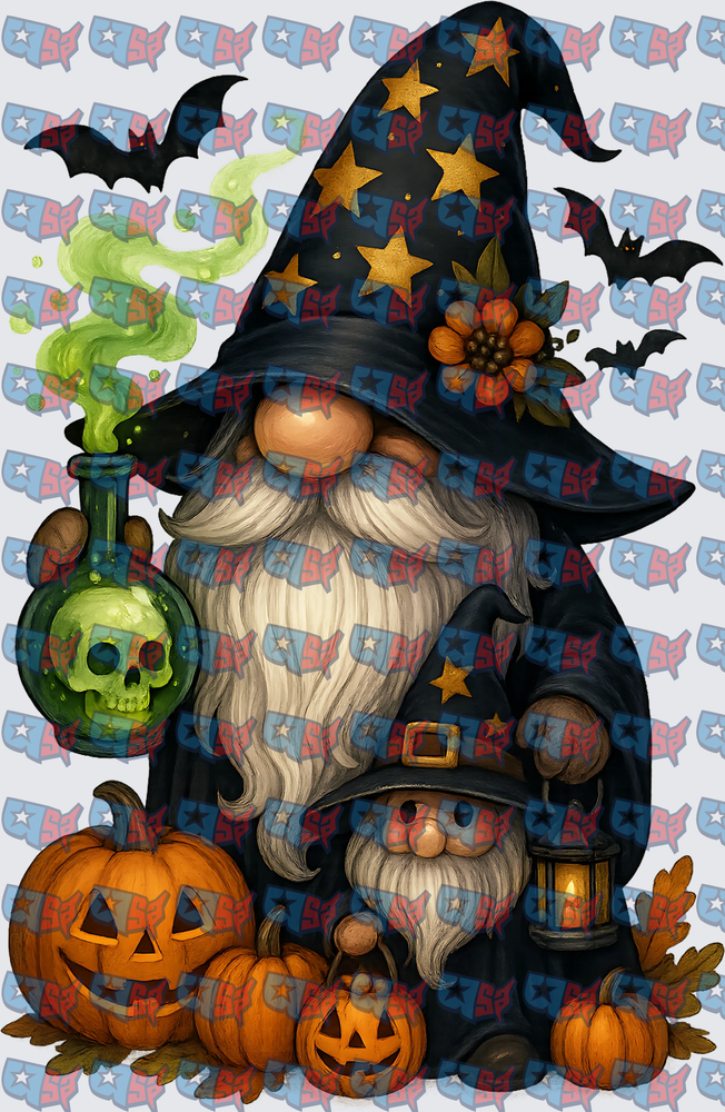 Halloween Wizard Gnomes With Skull Potion And Pumpkins (DTF)