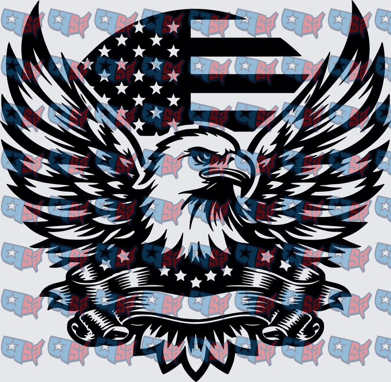 American Flag Bald Eagle Wings Spread Banner (DTF)