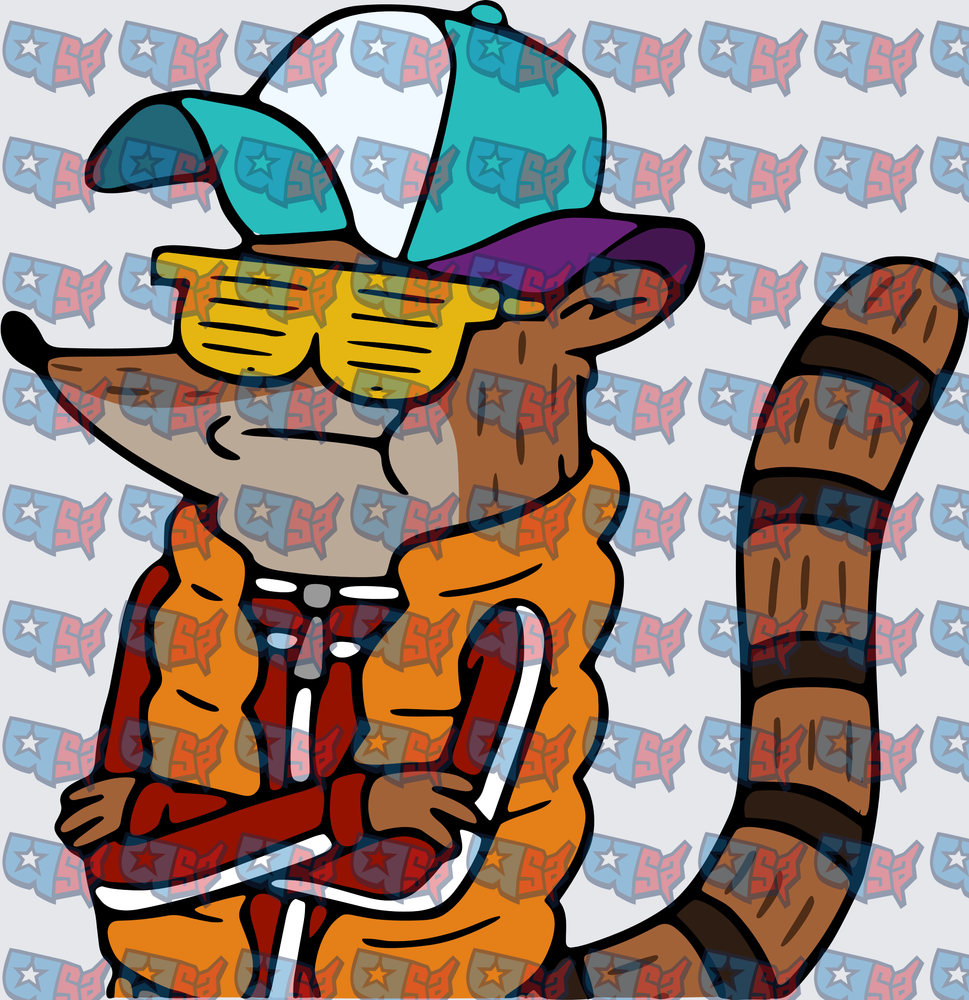 Cool Raccoon Wearing Snapback Hat And Shutter Shades (DTF)