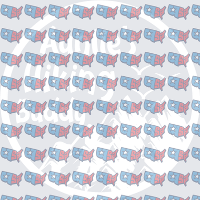 Patriotic USA Map Repeat Pattern Red White Blue (DTF)