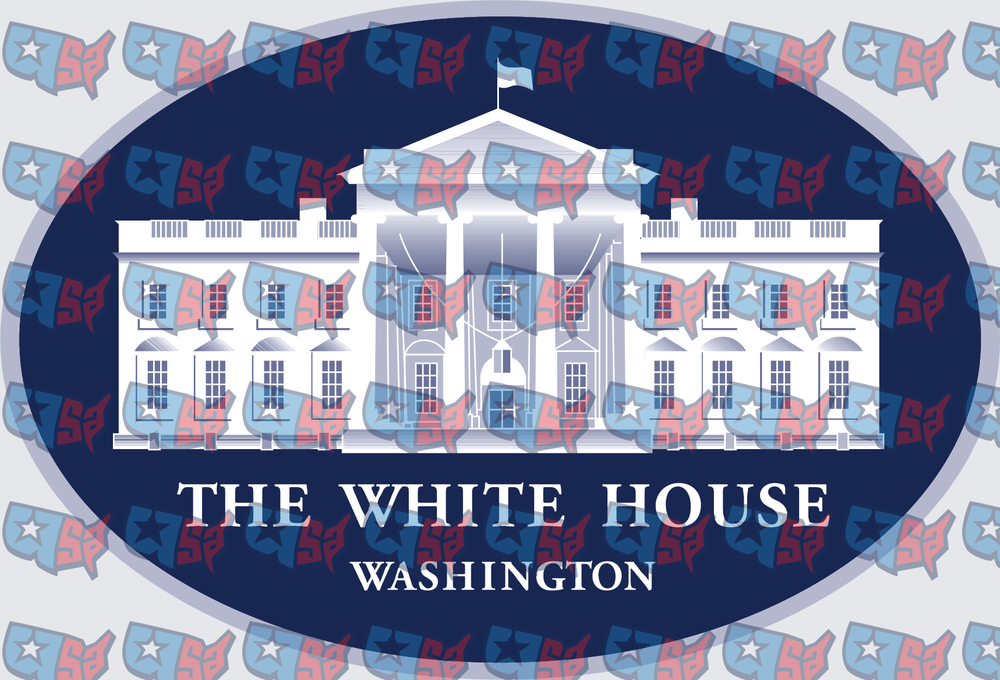 The White House Washington Oval Emblem (DTF)