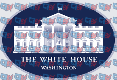 The White House Washington Oval Emblem (DTF)