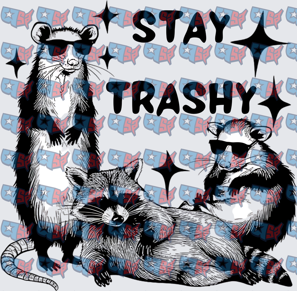 Stay Trashy Opossums And Raccoon With Sunglasses (DTF)