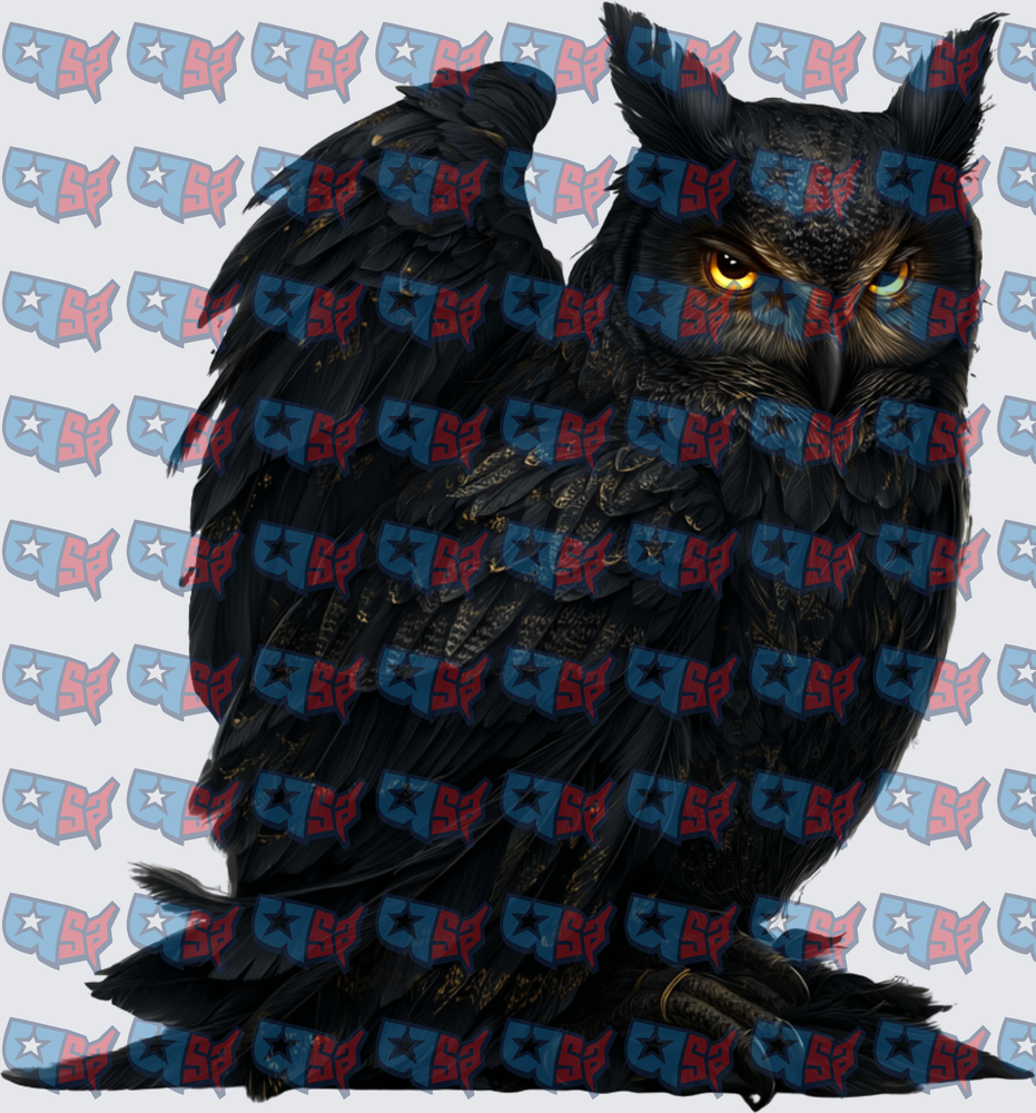 Dark Black Owl With Glowing Yellow Eyes (DTF)