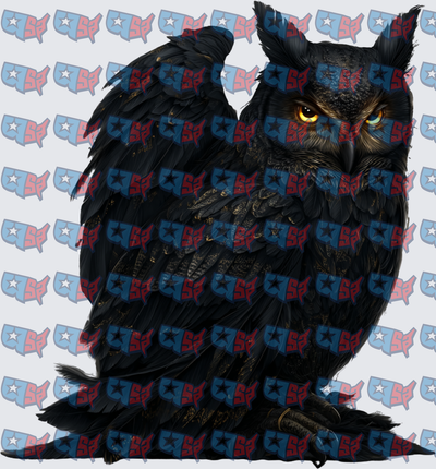 Dark Black Owl With Glowing Yellow Eyes (DTF)