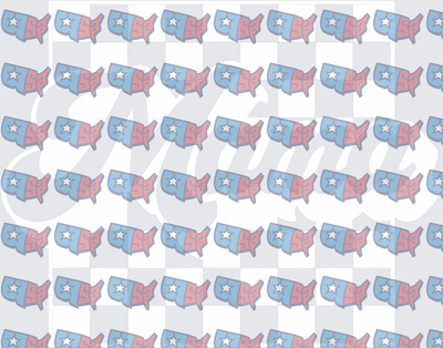 Patriotic USA Map Star Pattern Repeat (DTF)