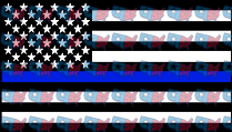 Thin Blue Line American Flag Patriotic Police Support (DTF)
