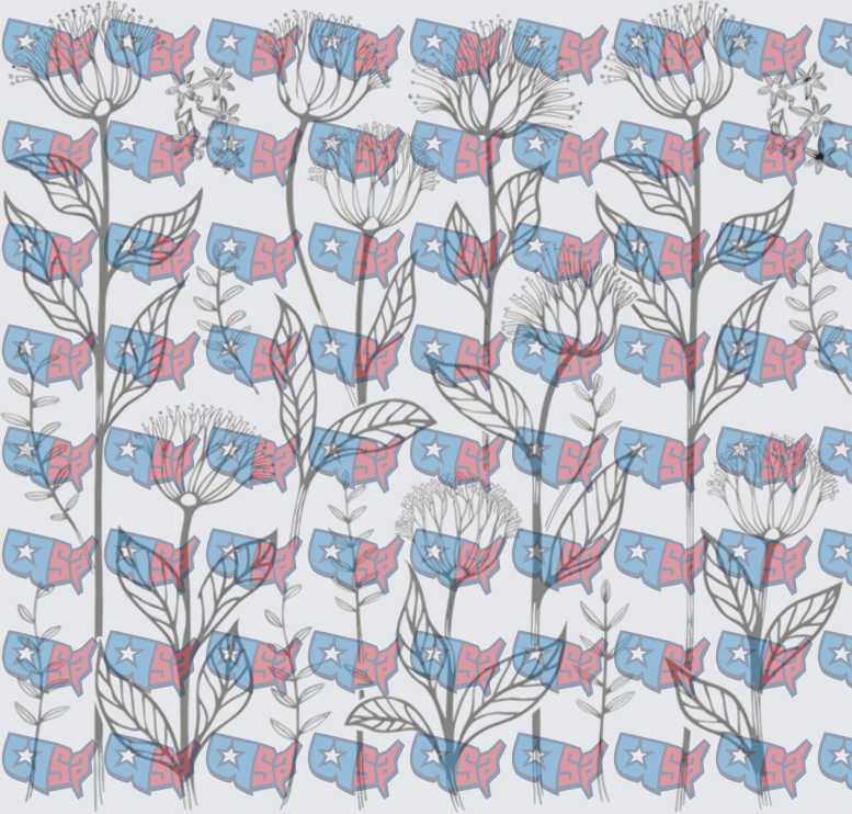 Patriotic USA Map Icons Floral Botanical Pattern (DTF)