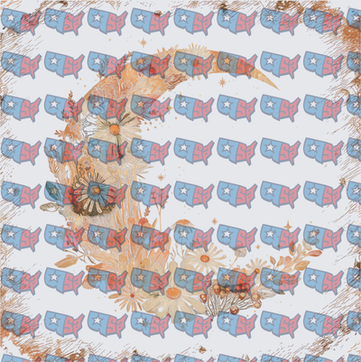 Boho Floral Crescent Moon Patriotic USA Map (DTF)