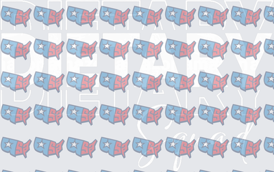 USA Map Patriotic Red White Blue Star Pattern (DTF)