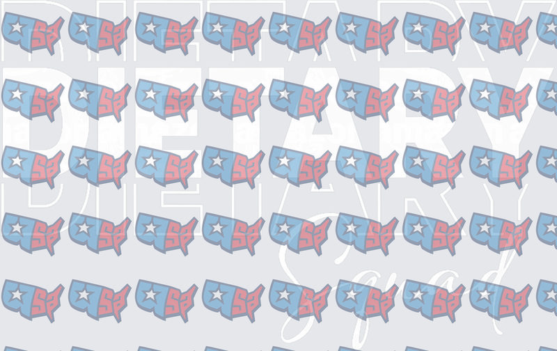USA Map Patriotic Red White Blue Star Pattern (DTF)