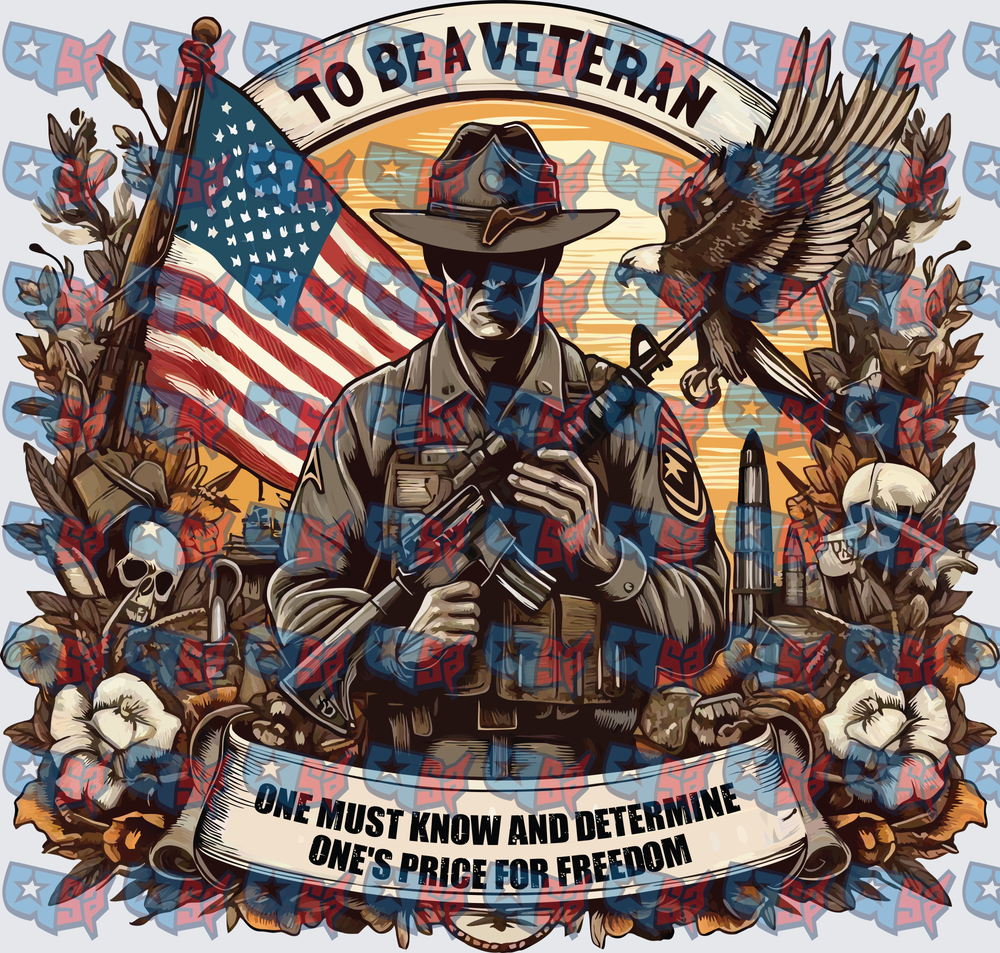 To Be A Veteran Price Of Freedom Soldier Design (DTF)