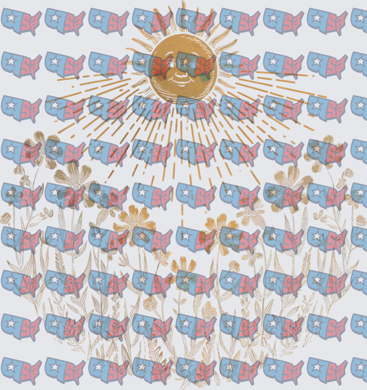 Vintage Sun Face USA Map Pattern with Wildflowers (DTF)