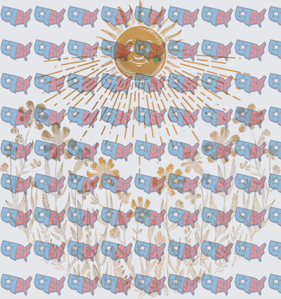 Vintage Sun Face USA Map Pattern with Wildflowers (DTF)