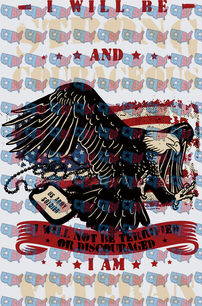 Strong Courageous US Army Soldier Patriotic Eagle (DTF)