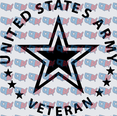 United States Army Veteran Star Badge (DTF)