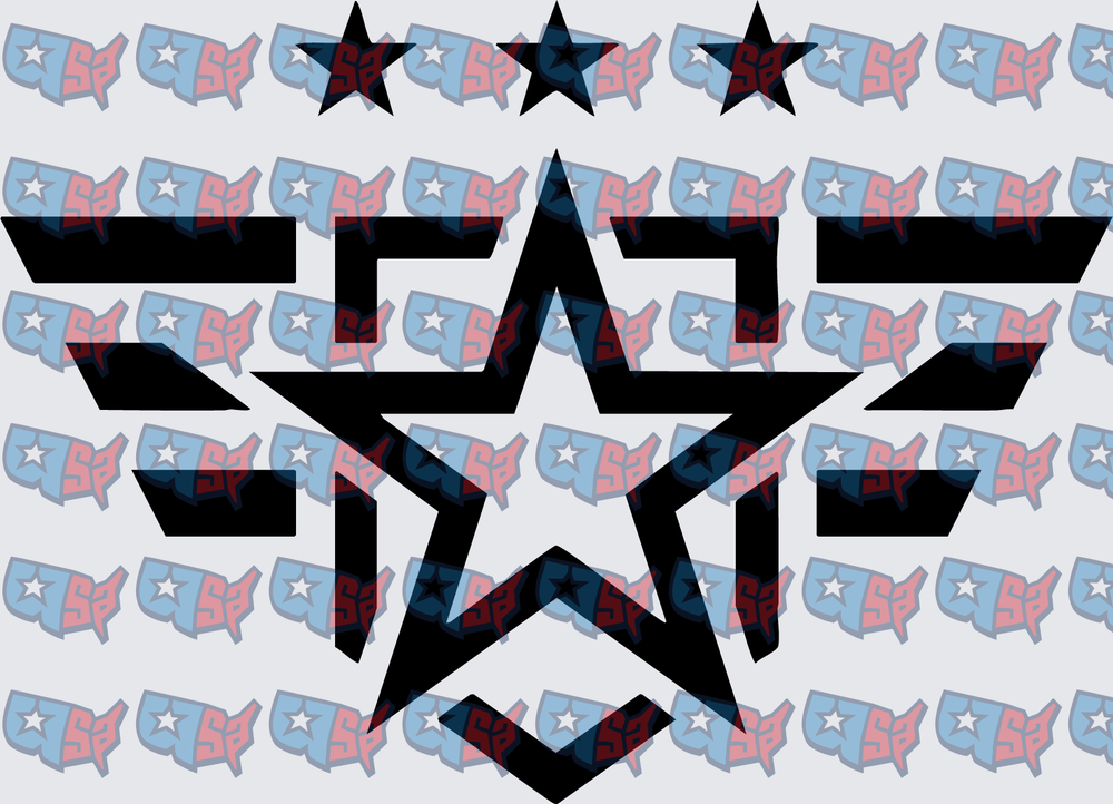 Bold Star Military Wings Black Design (DTF)